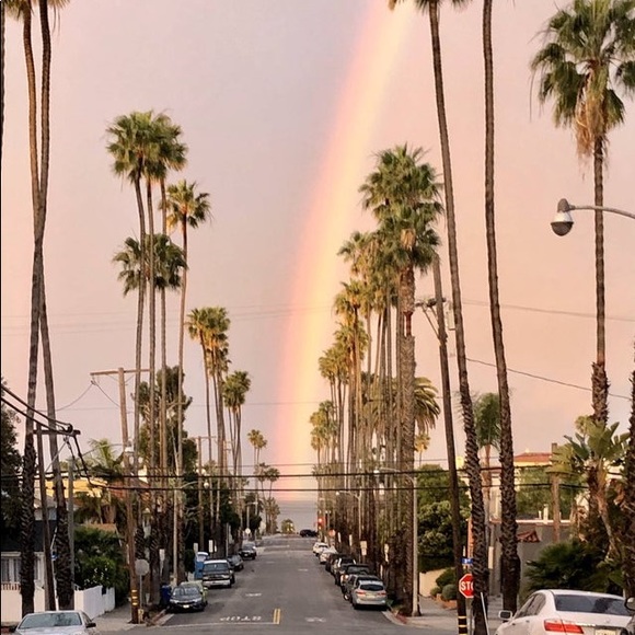 Meet your Posher, Yessie - Picture 1 of 1